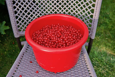 Red currants in container on chair