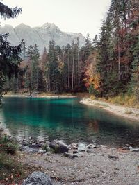 Scenic view of lake in forest against sky