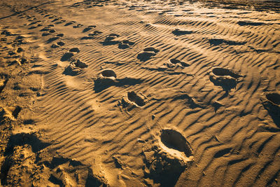 High angle view of footprints on sand at beach