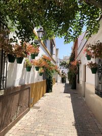 Alley amidst buildings in city