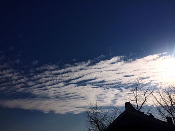 Low angle view of trees against cloudy sky