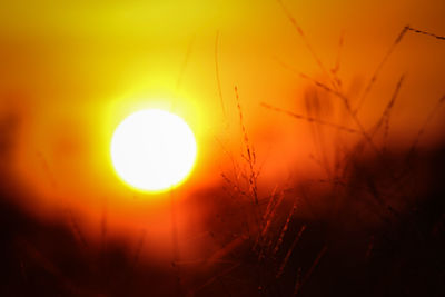 Scenic view of sunset