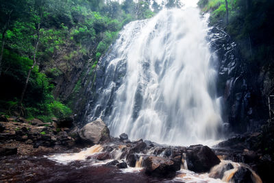 View of waterfall in forest