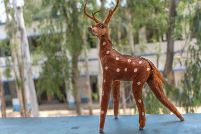 Side view of deer standing against trees