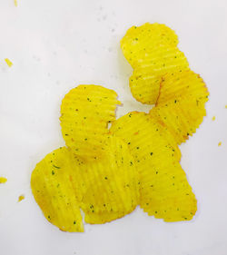 High angle view of yellow leaf on white background