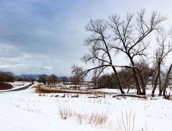 Bare trees on snow covered field against sky