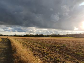 Scenic view of field against sky