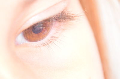 Close-up portrait of human eye