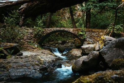 Arch bridge over stream in forest