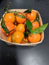 High angle view of orange fruits in container