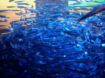 Full frame shot of blue water in sea