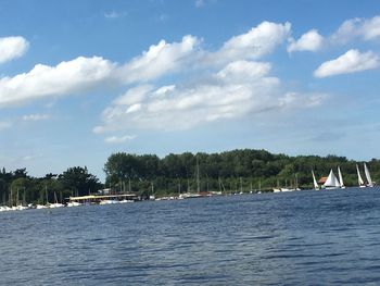 Sailboats sailing in sea against sky