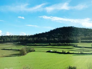 Scenic view of agricultural field against sky