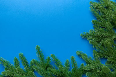 Low angle view of palm tree against clear blue sky