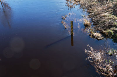 High angle view of plants by lake