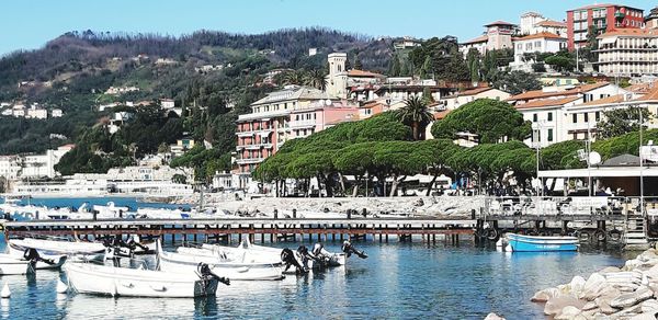 Boats moored at harbor against buildings in city