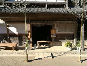 Potted plants outside building