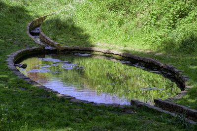 High angle view of pond in garden
