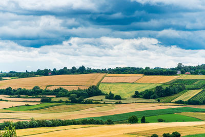 A beautiful panorama of the west roztocze. undulating hills, fields and forests. 