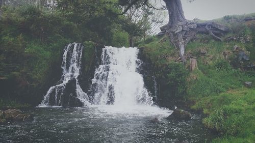 Scenic view of waterfall