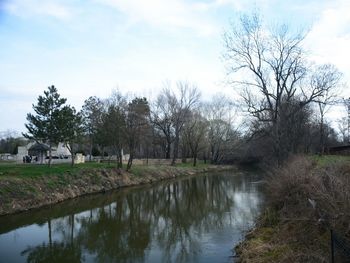 Scenic view of lake by trees against sky