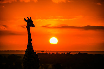 Silhouette statue against dramatic sky during sunset