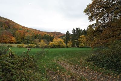 Scenic view of landscape against sky during autumn