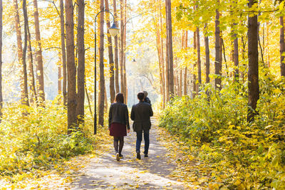 Rear view of people walking on road amidst trees during autumn