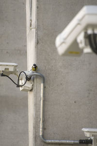 Low angle view of bird perching on wall