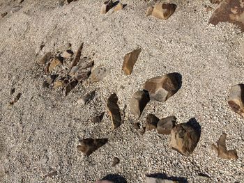 High angle view of sand on beach