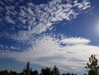 Low angle view of silhouette trees against sky