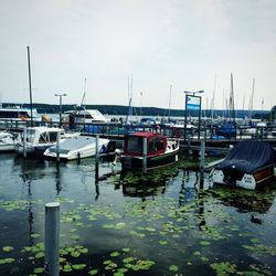 Boats moored at harbor