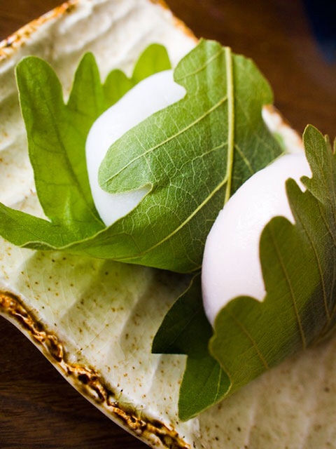 leaf, leaf vein, close-up, green color, growth, leaves, plant, focus on foreground, nature, natural pattern, selective focus, freshness, green, indoors, high angle view, no people, day, table, sunlight