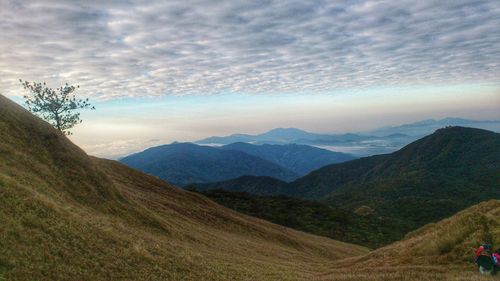 Sea of cloud at mount pulag