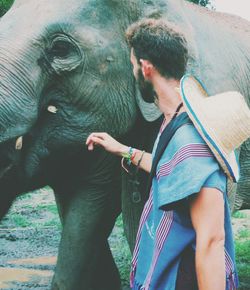 Rear view of man touching elephant