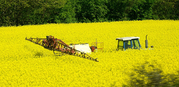 Tractor spraying fertilizers in field