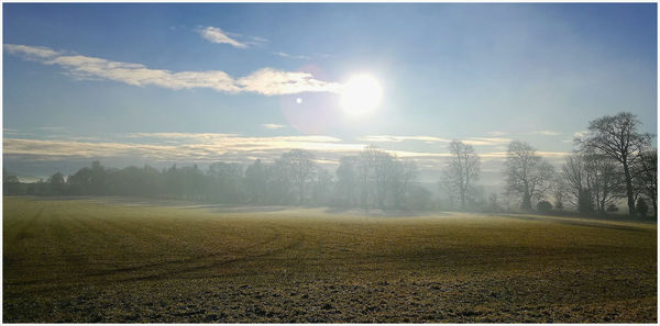 Scenic view of field against bright sun