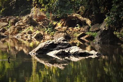 Stone island in water