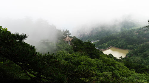 Scenic view of trees and mountains against sky