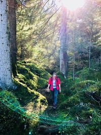 Rear view of people walking in forest