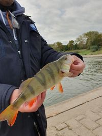 Man holding fish while standing on shore