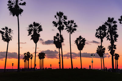 Silhouette palm trees against sky during sunset