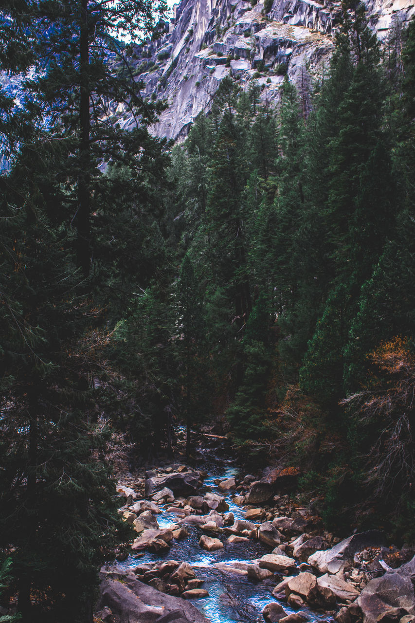 SCENIC VIEW OF WATERFALL