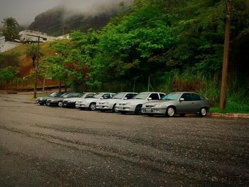 Cars on road against trees