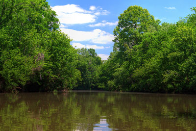 Scenic view of lake by trees against sky