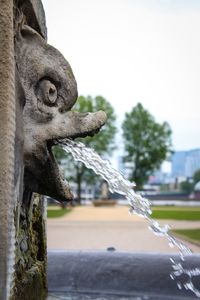 Close-up of statue against trees