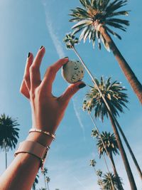 Low angle view of person holding palm tree against sky