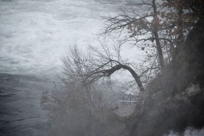 High angle view of bare trees in foggy weather