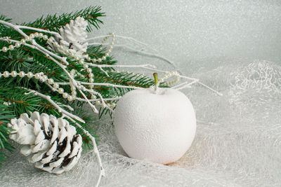 Close-up of christmas tree