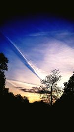 Silhouette of trees against cloudy sky